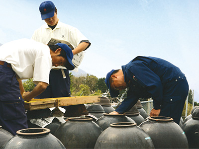 世界でも類を見ない製法 鹿児島県福山町で200年以上続く「伝統カメ壷・露天醸造」