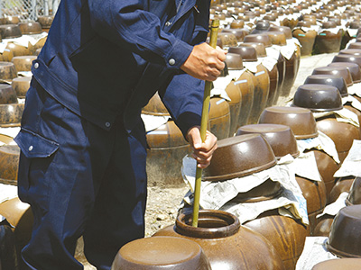 世界でも類を見ない製法 鹿児島県福山町で200年以上続く「伝統カメ壷・露天醸造」