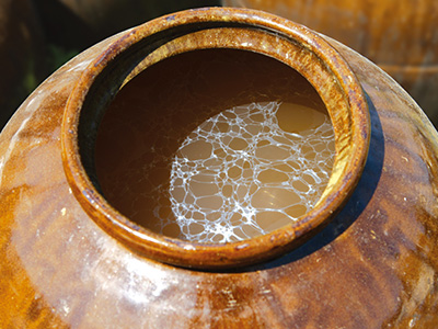 世界でも類を見ない製法 鹿児島県福山町で200年以上続く「伝統カメ壷・露天醸造」