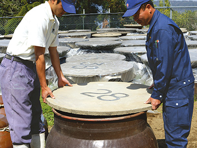 世界でも類を見ない製法 鹿児島県福山町で200年以上続く「伝統カメ壷・露天醸造」